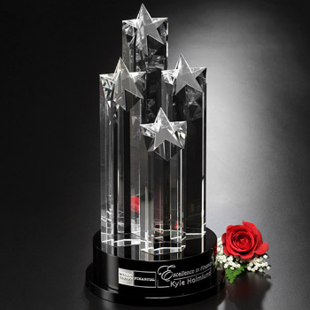 Constellation Award 14"