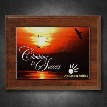 Econo Cherry Plaque 7" x 9" with Sublimated Plate