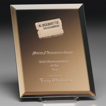 Imagery Bronze Award 8" x 10"